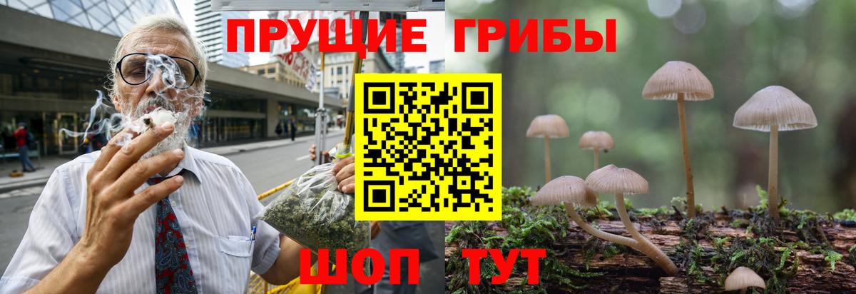 Псилоцибиновые грибы MAGIC MUSHROOMS  Вход с VPN  Гагарин  Псилоцибиновые грибы мицелий 